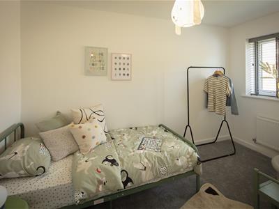 Picture 24